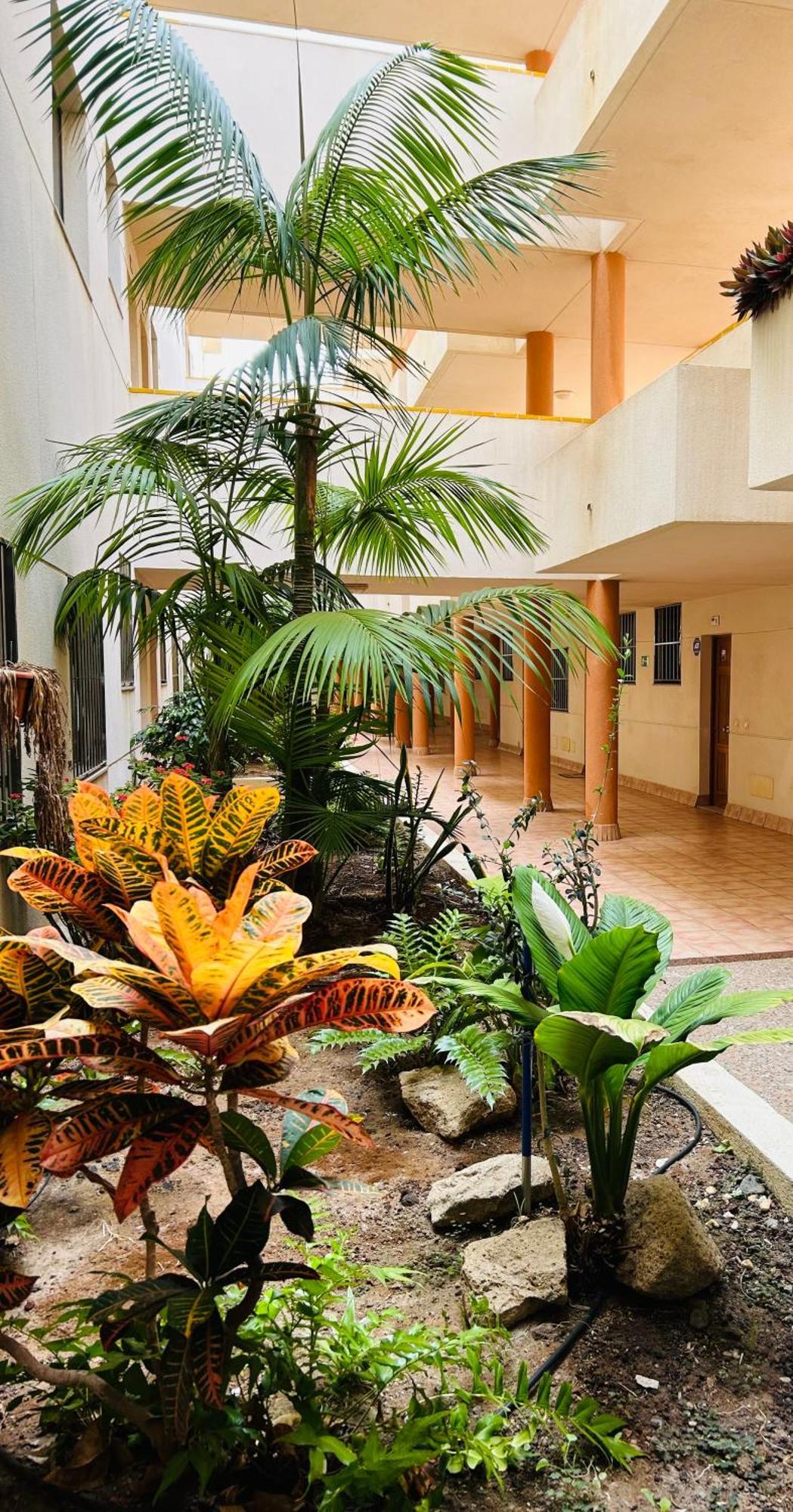 El Medano La Ola. Cabezo Beach 2 Rooms Parking Place Екстер'єр фото